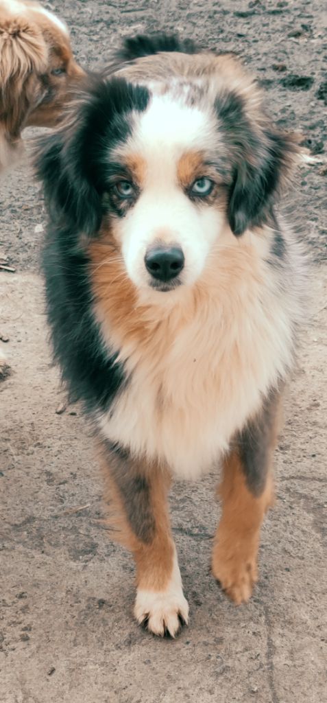 Nova jolie Du Boubou De L'isileko