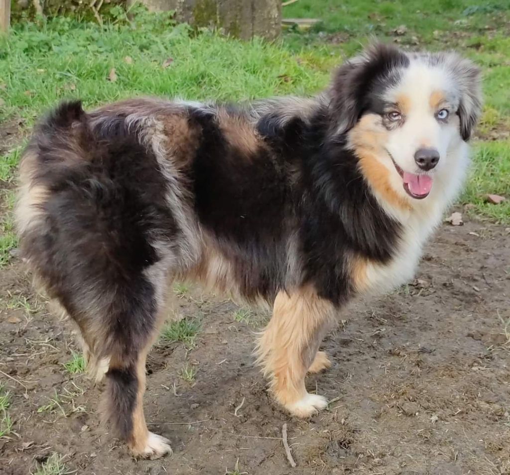 Nova jolie Du Boubou De L'isileko