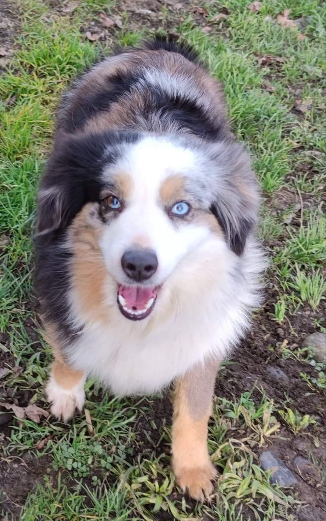 Nova jolie Du Boubou De L'isileko