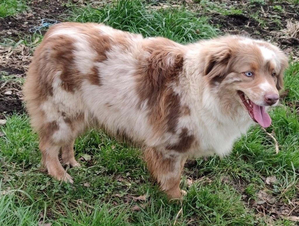 Milka Du Boubou De L'isileko